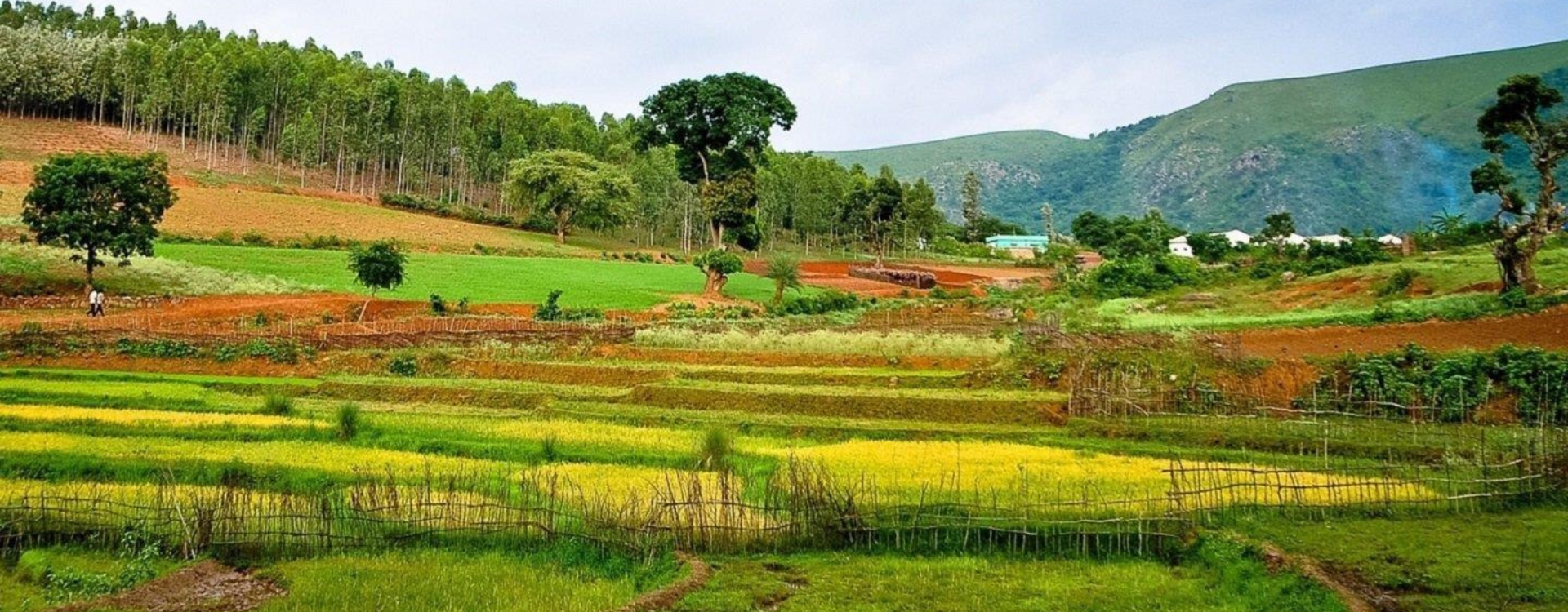 araku-valley